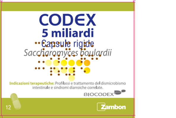 CODEX*12CPS 5MLD 250MG - Metafarm