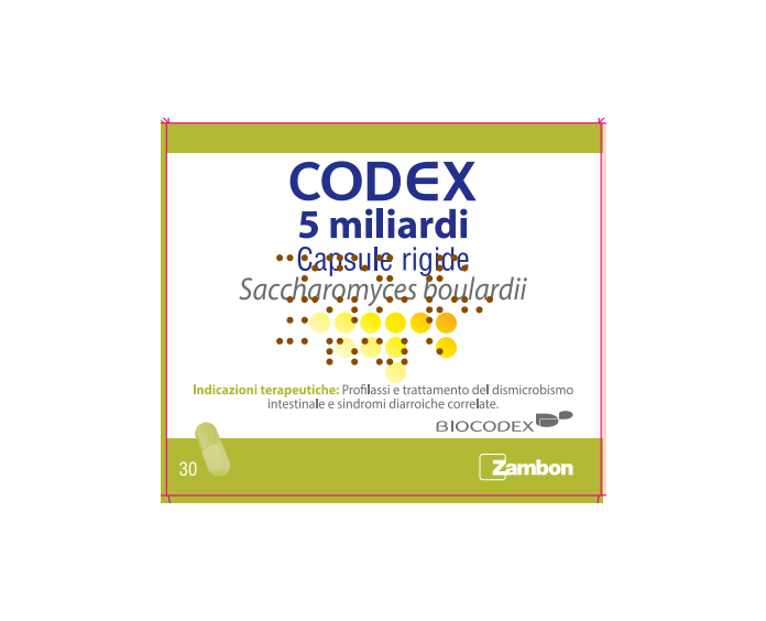 CODEX*30CPS 5MLD 250MG - Metafarm