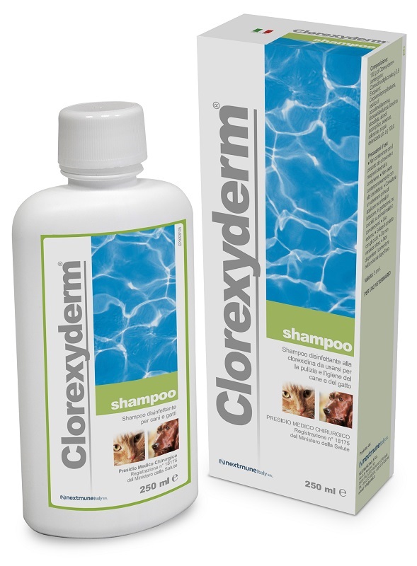 CLOREXYDERM SHAMPOO 250 ML - Metafarm