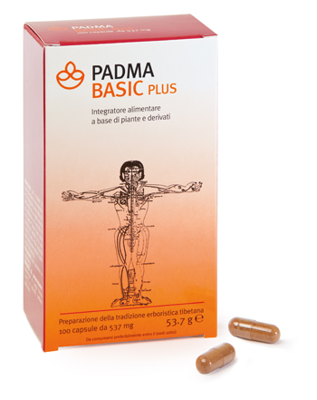 PADMA BASIC PLUS 100 CAPSULE - Metafarm