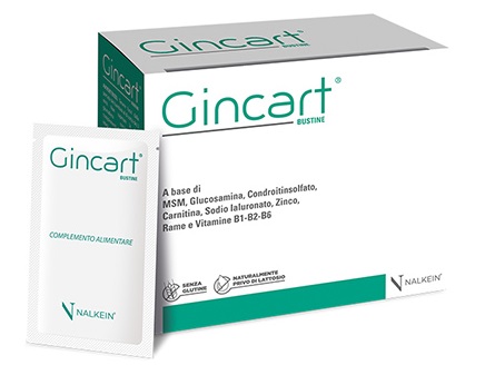 GINCART 18 BUSTINE - Metafarm