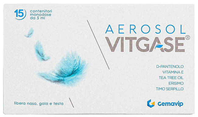 VITGASE AEROSOL 15 FLACONCINI 5 ML - Metafarm