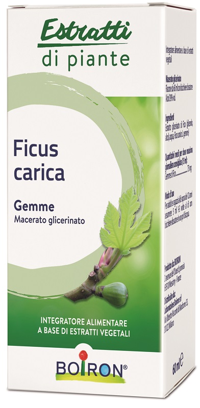 FICUS CARICA BOIRON MACERATO GLICERICO 60 ML - Metafarm